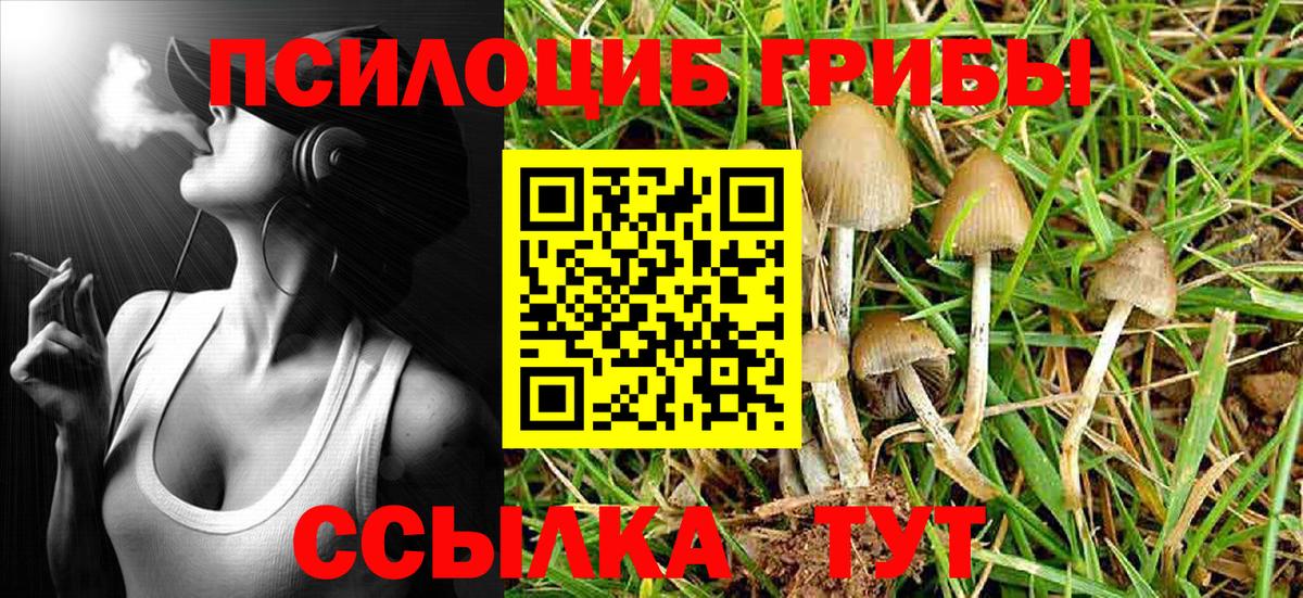 Псилоцибиновые грибы мицелий Глазов