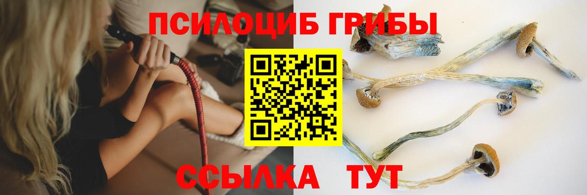 цена   Псилоцибиновые грибы мухоморы  Глазов  Вход с VPN  Псилоцибиновые грибы Psilocybine cubensis 